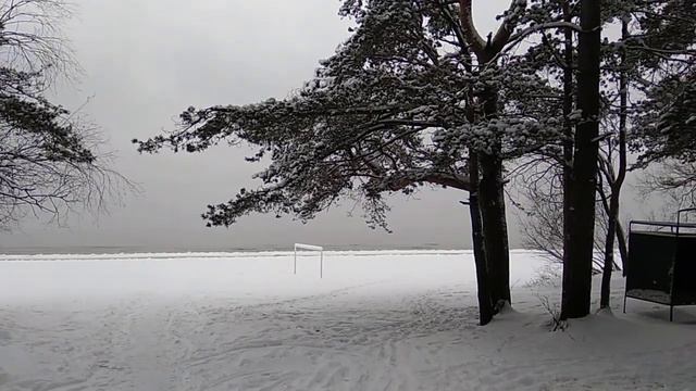 Усть-Нарва смотреть онлайн