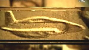 НЛО в Антарктиде. Тайная база третьего рейха?