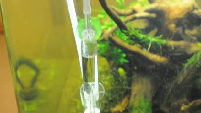 nature aquarium- bubble counter in action смотреть онлайн