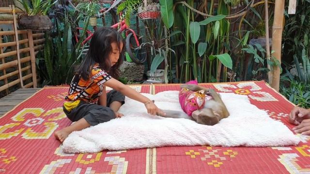 Adorable Koko react jealous while dad groom to sister Sreye /Koko&Yoko official смотреть онлайн