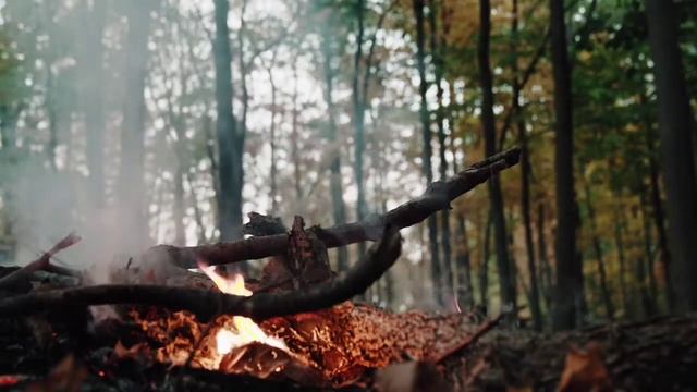 ЗВУКИ КОСТРА В ЛЕСУ \ РЕЛАКС \ ДЛЯ СНА \ COSTA SOUNDS IN THE FOREST \ RELAX \ FOR SLEEP смотреть онлайн