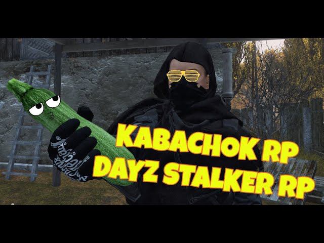 KABACHOK RP ||  DAYZ STALKER RP #stalkerrp #dayzstalkerrp #dayz