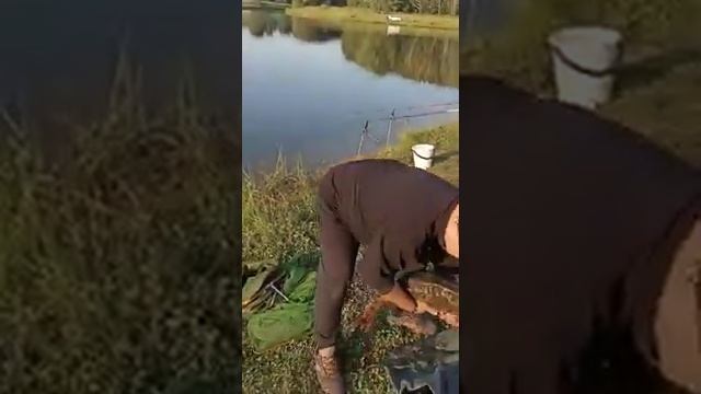 Рыбалка на Зеленёвском пруду Аннинского района Воронежской области 25 июля 2021 года смотреть онлайн