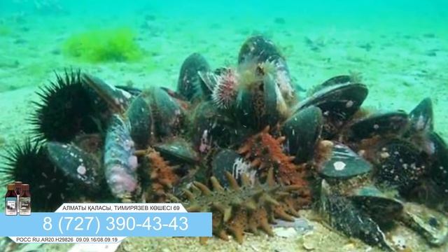 Онкология смотреть онлайн