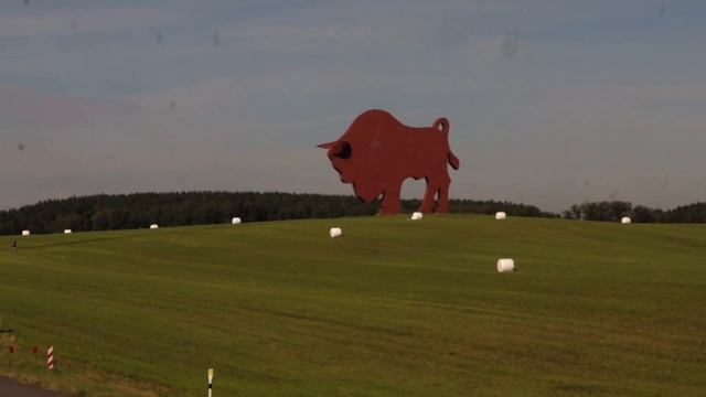 Беларусь 22. Минск, Брест, ДР Папы. смотреть онлайн