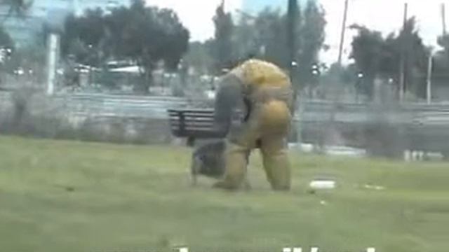 PROTECTION TRAINING INSTRUCTOR AMNON BEN IZHAK אילוף כלבים смотреть онлайн