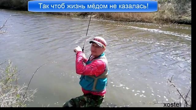 Уловистый Съедобный Силикон смотреть онлайн