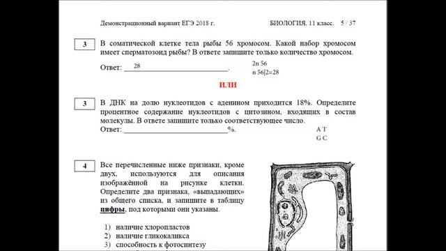 Задания 3.2 Демовариант 2018 ЕГЭ по биологии смотреть онлайн