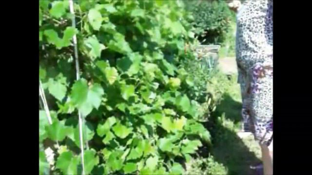 Долгожданная встреча смотреть онлайн