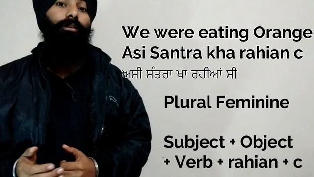 Past Continuous Tense in Punjabi | Learn Punjabi Language смотреть онлайн