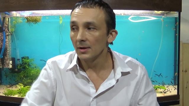 Дафния будет 100% смотреть онлайн