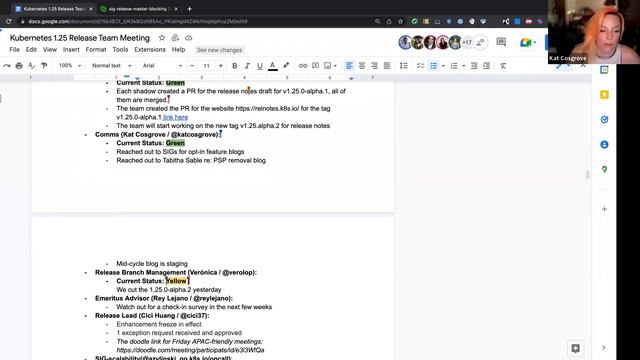 Kubernetes Release Team Weekly Meeting (1.25) for 20220629 смотреть онлайн