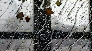 Таисия Повалий. Опоздавший...