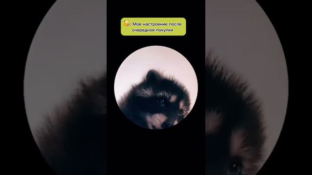 Много нас таких? 🥳😄🙈 смотреть онлайн