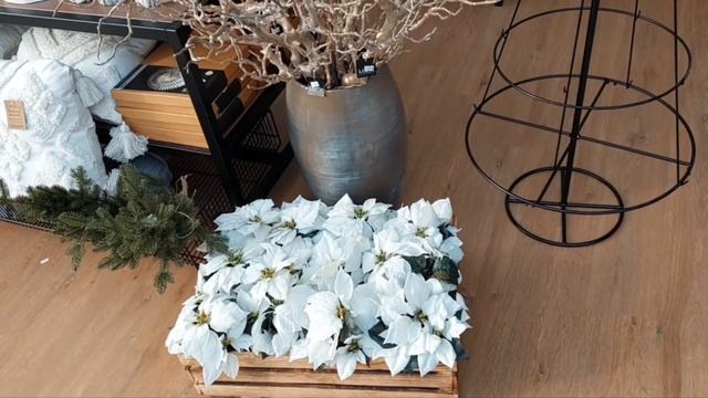 Эстония.Волшебная страна чудес-маленькая Рождественская сказка.??♀️?☃️? смотреть онлайн