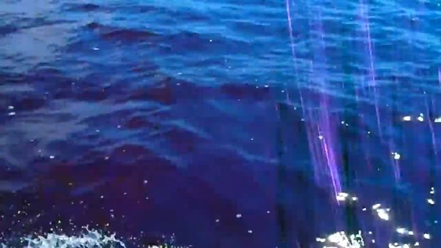 Катание на кайтах в Голубом Заливе Волги,БАО 