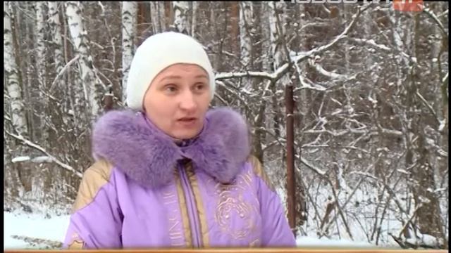 Украли Оленя смотреть онлайн