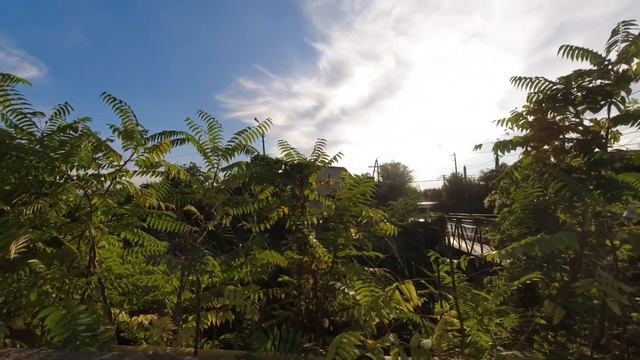 Феодосия. Бархатный сезон. День 4. Пляж Юрайя. Долгая и скучная прогулка по городу. Ужин в Эмире. смотреть онлайн