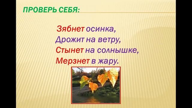 Синонимы, обучение 2 класс. смотреть онлайн