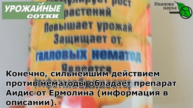 ПРИ ПОСАДКЕ ЧЕСНОКА добавьте ЭТО в лунки! Результат будет СУПЕР! смотреть онлайн