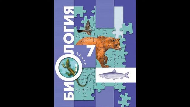 § 39 РАЗНООБРАЗИЕ ПРИРОДЫ ЮЖНОЙ АМЕРИКИ смотреть онлайн