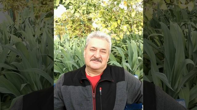 "Твоё счастье" сл.и муз Л Бутырина. смотреть онлайн