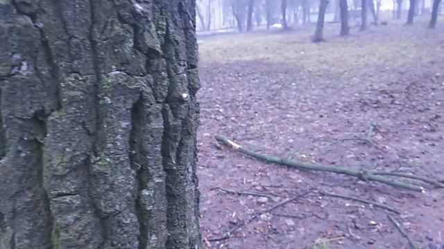 😮ИТОГИ 2К17😀НОВЫЙ ГОД🎉🎆ПОЗДРАВЛЕНИЯ🎄|🎁 ПОСЛЕДНИЙ РОЛИК 2017??!!😈 2017 ПРОЩАЙ??! смотреть онлайн