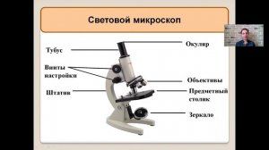 Увеличительные приборы   5 класс