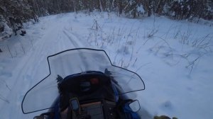 Загонная Охота на Лося на Снегоходах BRP и Polaris 600