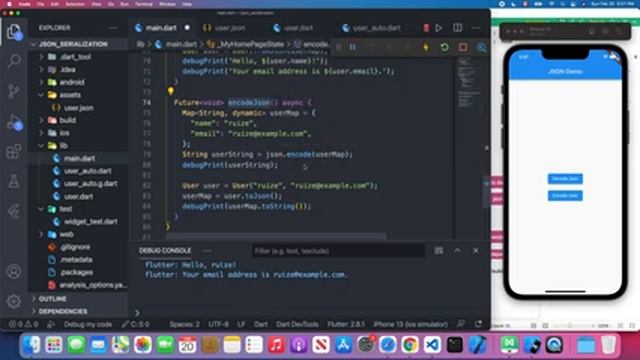 Flutter Network Tutorial for Beginners | JSON Serialization смотреть онлайн