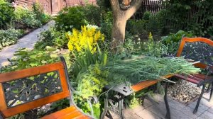 Выходные на даче . Хорошо потрудилась , результат уже есть он мне нравится