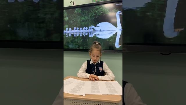 Антоненко Полина.Стихотворение С.А.Есенина «Лебедушка» смотреть онлайн