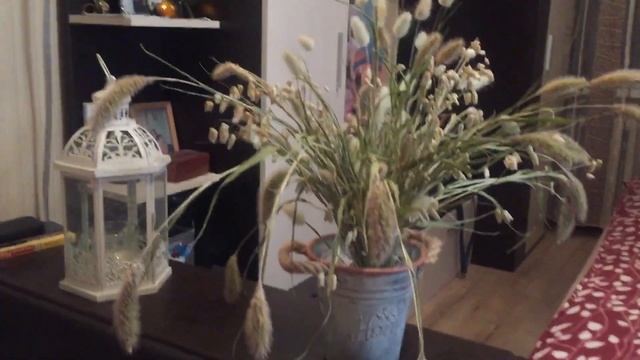 Приглашаю в гости. Букет из любимого сада. Новый питомец. смотреть онлайн