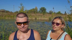 Корм холистик или суперпремиум, какой выбрать