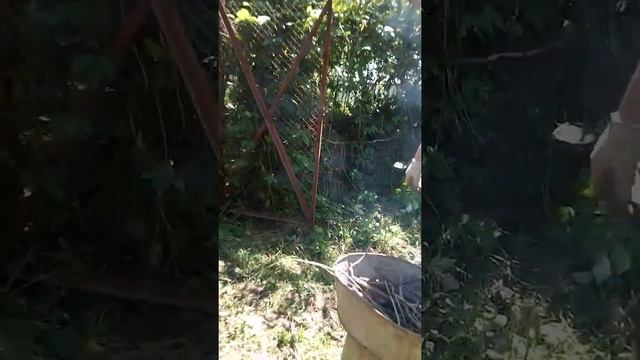 Жарим шашлык без мангала смотреть онлайн
