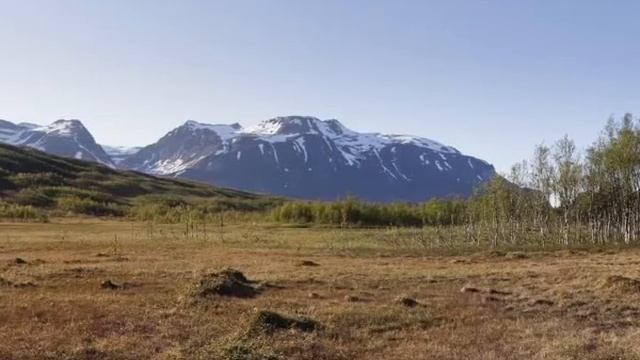 Saga Rage of the Vikings OST (Composed by Robert Basarte) смотреть онлайн