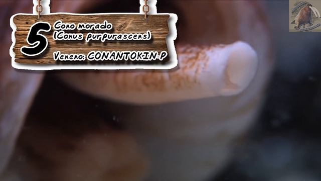 9 animales más venenosos | Los animales que podrían matarte si te atacan| (Top 9) смотреть онлайн