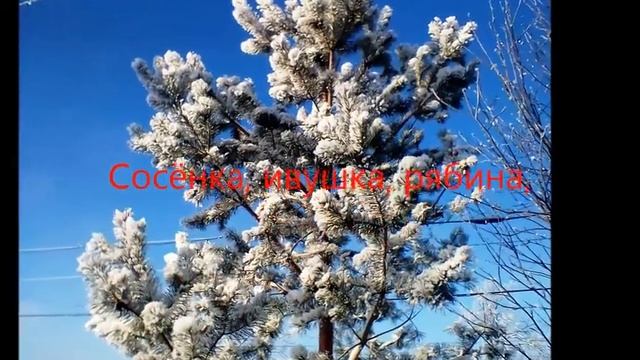 Берёзка в поле... смотреть онлайн