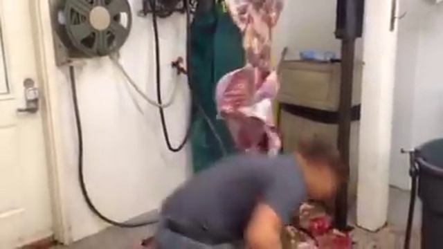 Быстрая разделка оленя смотреть онлайн