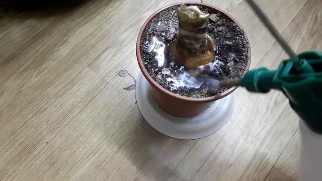 Дизайнерские идеи