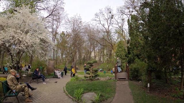 Сад магнолий в Киеве / Реальный обзор смотреть онлайн