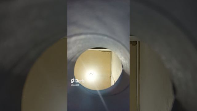 Мой кот в три часа ночи когда все спят! смотреть онлайн