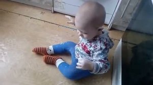 Прокисшая сметана