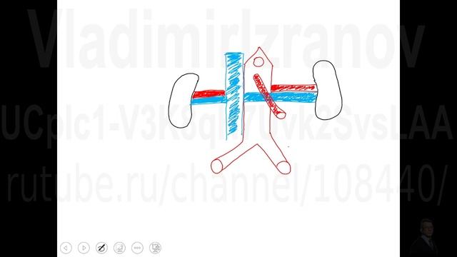 Аорто-мезентериальный пинцет. Рисуем схему на доске. Запись 2022 12 23 14 05 35 смотреть онлайн