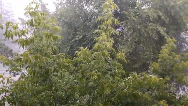 Шум проливного дождя и шум ветра. 13 июля 2017 18 вечера Дальнегорск смотреть онлайн