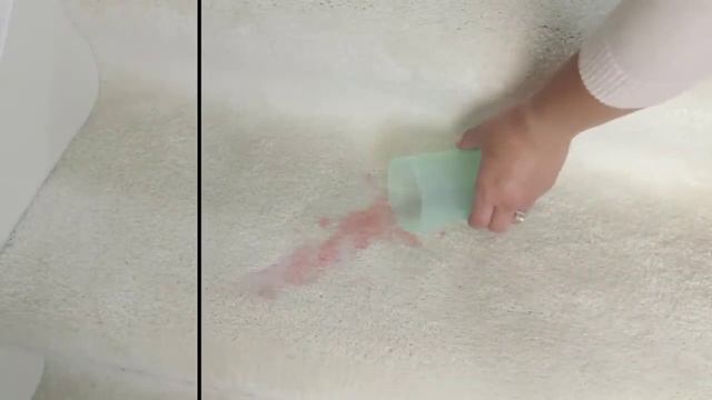 BISSELL Stain Eraser Halı Koltuk Yıkama ve Leke Çıkarma Makinesi смотреть онлайн