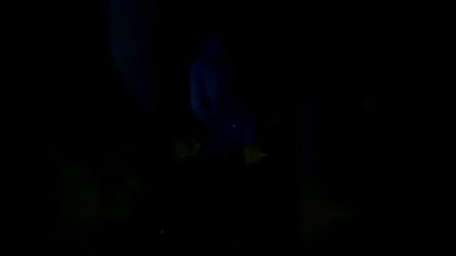 ловля карпа в августе на пруду смотреть онлайн