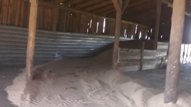 Обзор перед началом учебного года. Пос. Потеряевка. 01. 09. 2016 смотреть онлайн