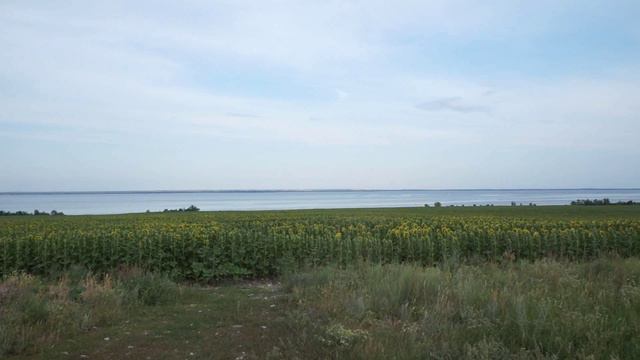 Берег Волги смотреть онлайн