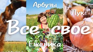 Дешевле в магазине купить?